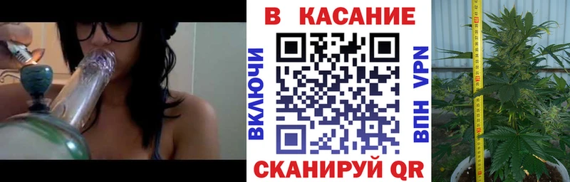 Где купить наркотики Сланцы Амфетамин  Псилоцибиновые грибы  Cocaine 