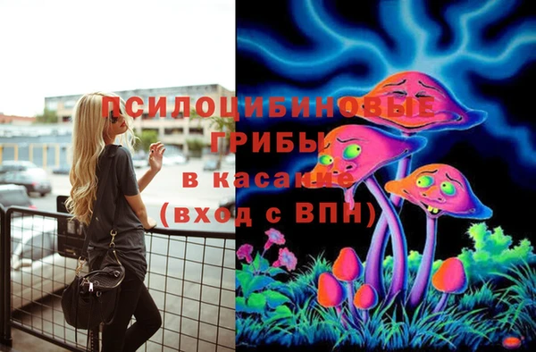 спиды Аркадак