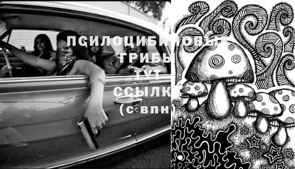 экстази Приозерск