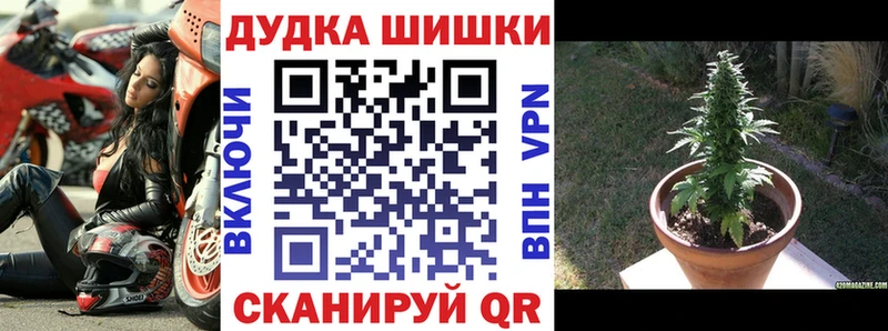 даркнет сайт  Сланцы  Шишки марихуана конопля 